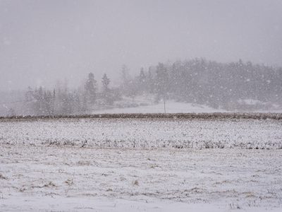 Paisajes desvelados